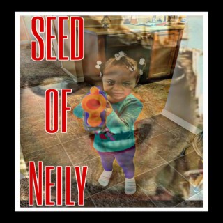 SEED OF NEILY