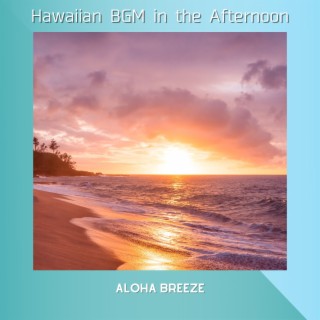 Hawaiian BGM in the Afternoon