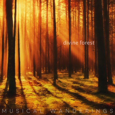 Divine Forest | Boomplay Music
