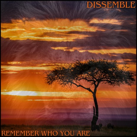 Remember Who You Are | Boomplay Music