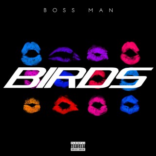 BIRDS lyrics | Boomplay Music