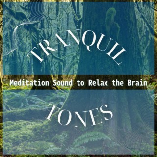 Meditation Sound to Relax the Brain