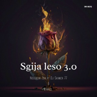 Sgija Leso 3.0