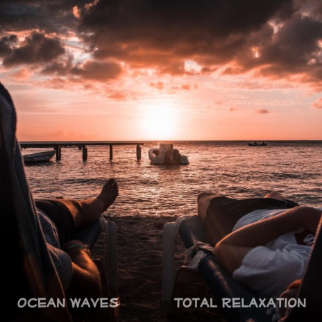 Social Shores | Boomplay Music