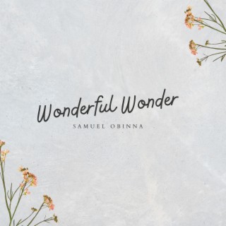 Wonderful Wonder