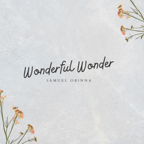 Wonderful Wonder | Boomplay Music