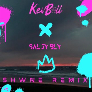 Sal Jy Bly (Remix)