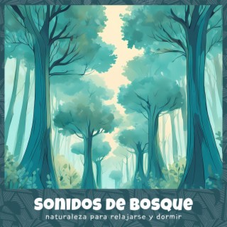 Sonidos de Bosque - Música con Sonidos de la Naturaleza para Relajarse y Dormir