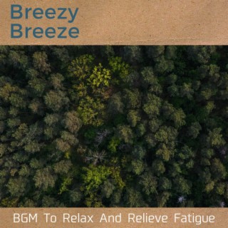 BGM To Relax And Relieve Fatigue