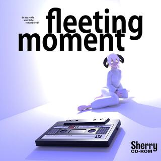 Fleeting Moment