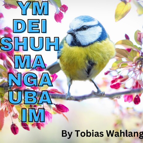YM DEI SHUH MA NGA UBA IM | Boomplay Music