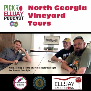PEP Talk: North Georgia Vineyard Tours