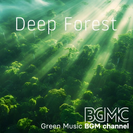 Deep Forest | Boomplay Music