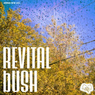 Revital Bush