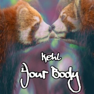 Your Body