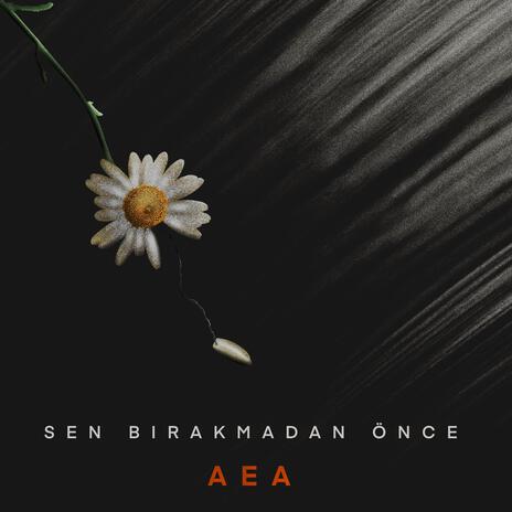 Sen Bırakmadan Önce | Boomplay Music