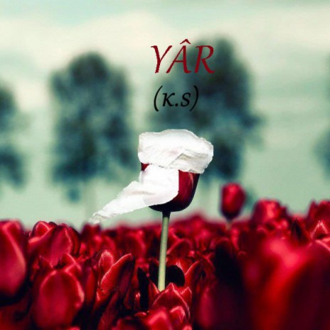 Seher Yeli | Boomplay Music