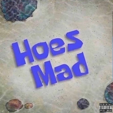 Hoes Mad | Boomplay Music