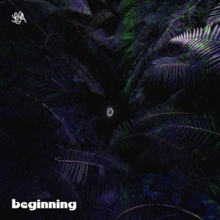 beginning