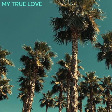 My True Love | Boomplay Music