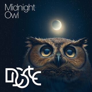 Midnight Owl