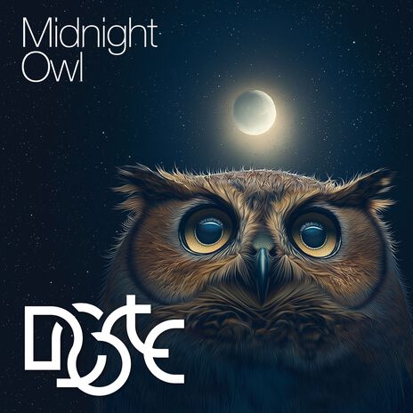 Midnight Owl | Boomplay Music