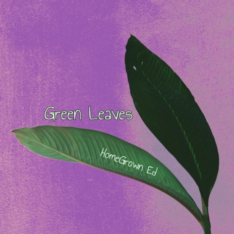 Green Leaves | Boomplay Music