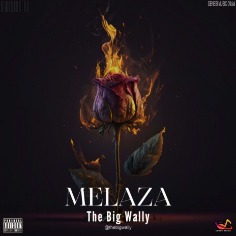 Melaza - The Big Wally | Boomplay Music