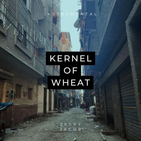 Kernel of Wheat (Instrumental) | Boomplay Music