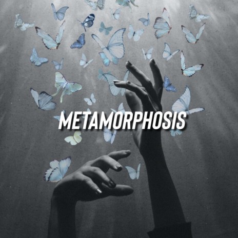metamorphosis | Boomplay Music