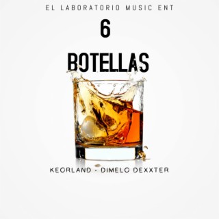 6 Botellas