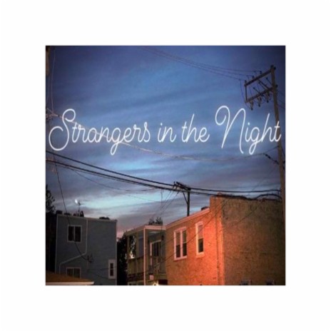 Strangers in the Night | Boomplay Music