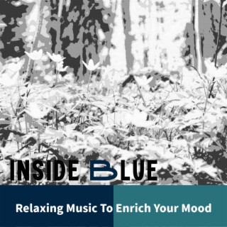 Relaxing Music To Enrich Your Mood