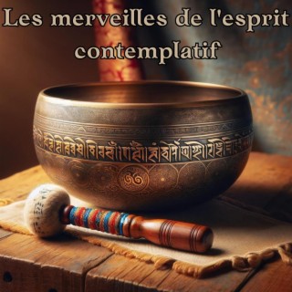 Les merveilles de l'esprit contemplatif: Bain sonore tibétain pour le calme et la contemplation