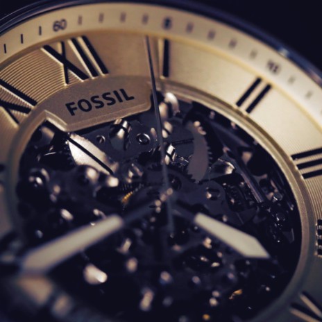 Fossil | Boomplay Music