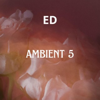 AMBIENT 5