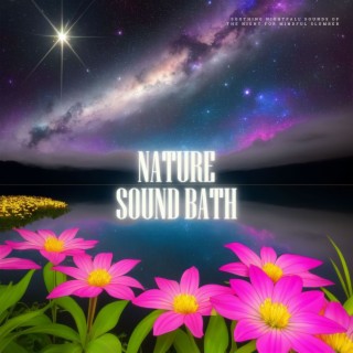 Nature Sound Bath - Soothing Nightfall Sounds of the Night for Mindful Slumber