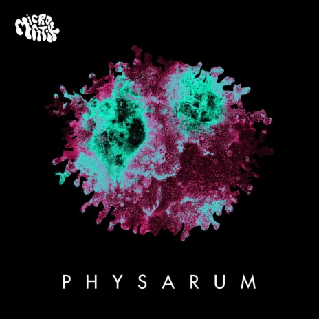 Physarum | Boomplay Music
