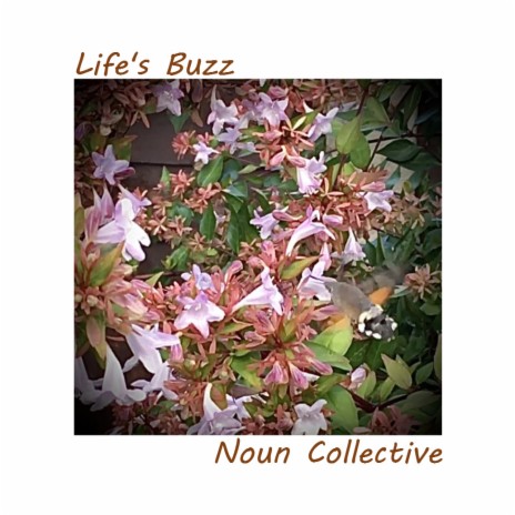 Life's Buzz | Boomplay Music