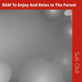 BGM To Enjoy And Relax In The Forest