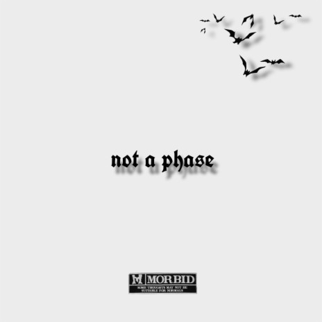 not a phase | Boomplay Music