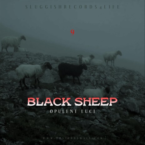 Black sheep