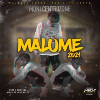 Malume 2021 lyrics | Boomplay Music