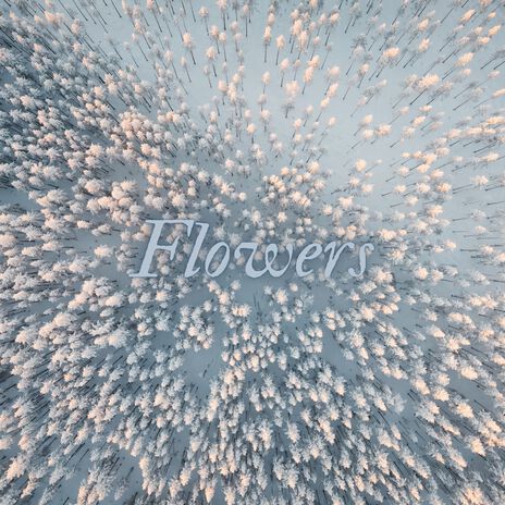 Flowers | Boomplay Music