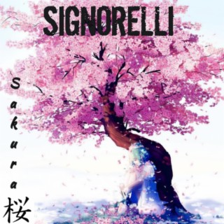 Signorelli