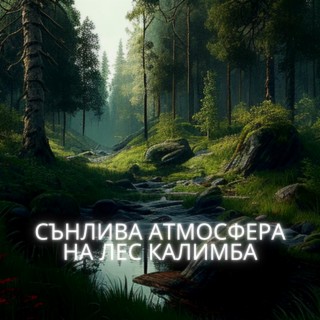 Сънлива атмосфера на лес Калимба