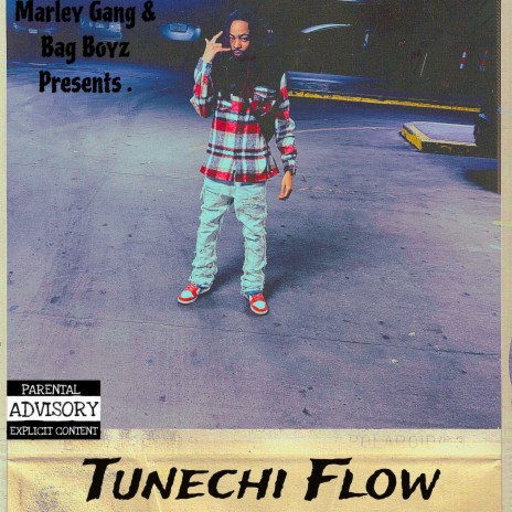 Tunechi Flow | Boomplay Music