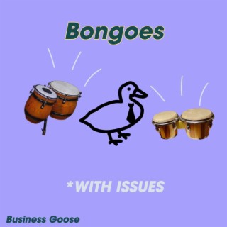 bongoes with issues