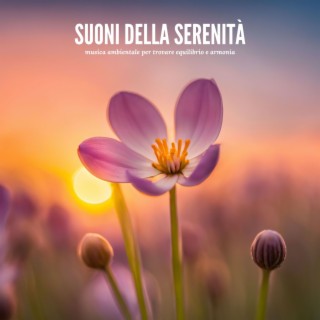 Suoni della Serenità: Musica Ambientale per Trovare Equilibrio e Armonia