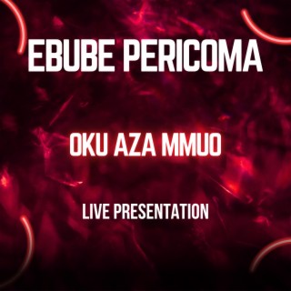 Ebube Pericoma live performance